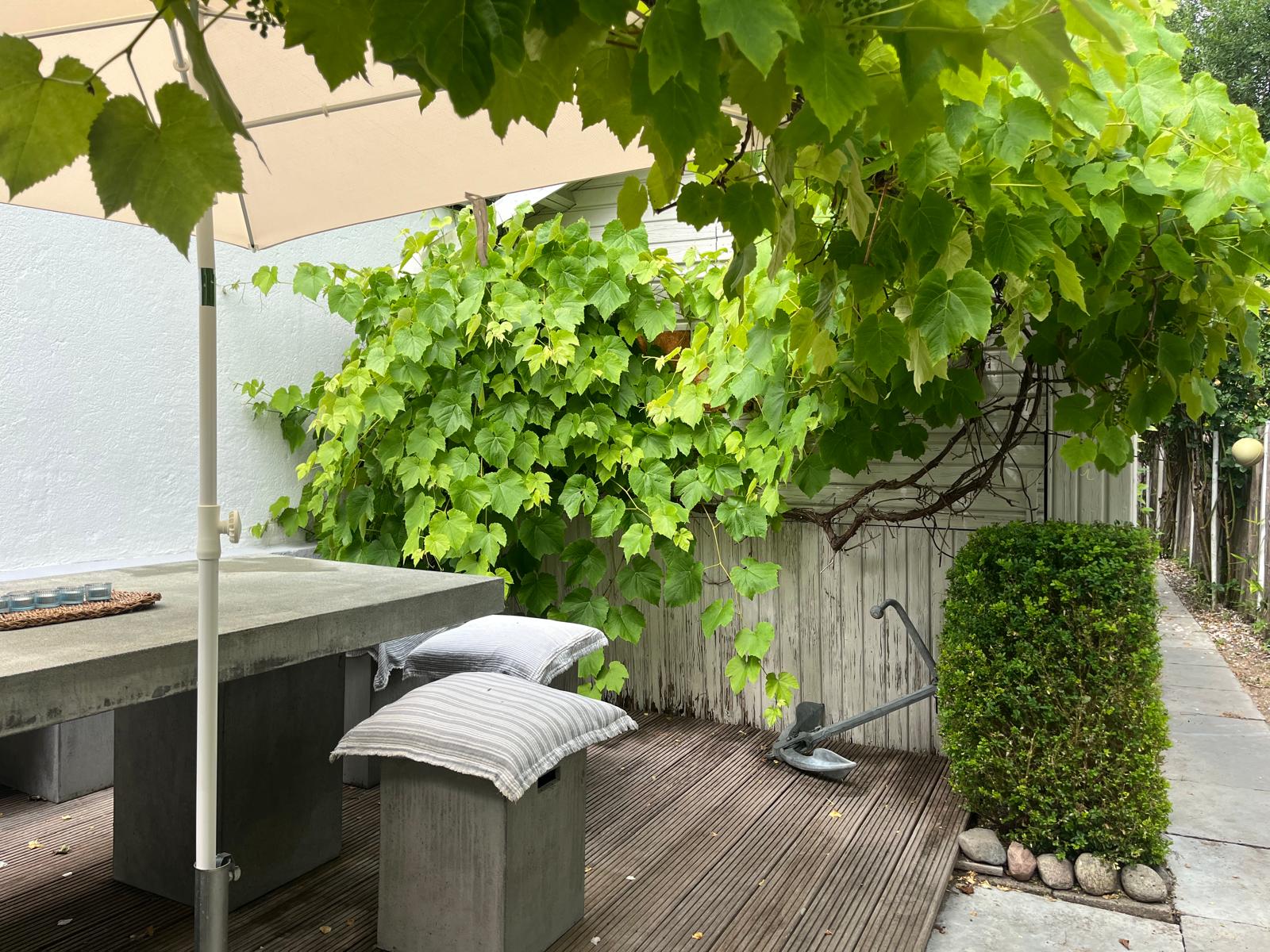 Lauschige Terrasse unter der Weinlaube im Hotelgarten