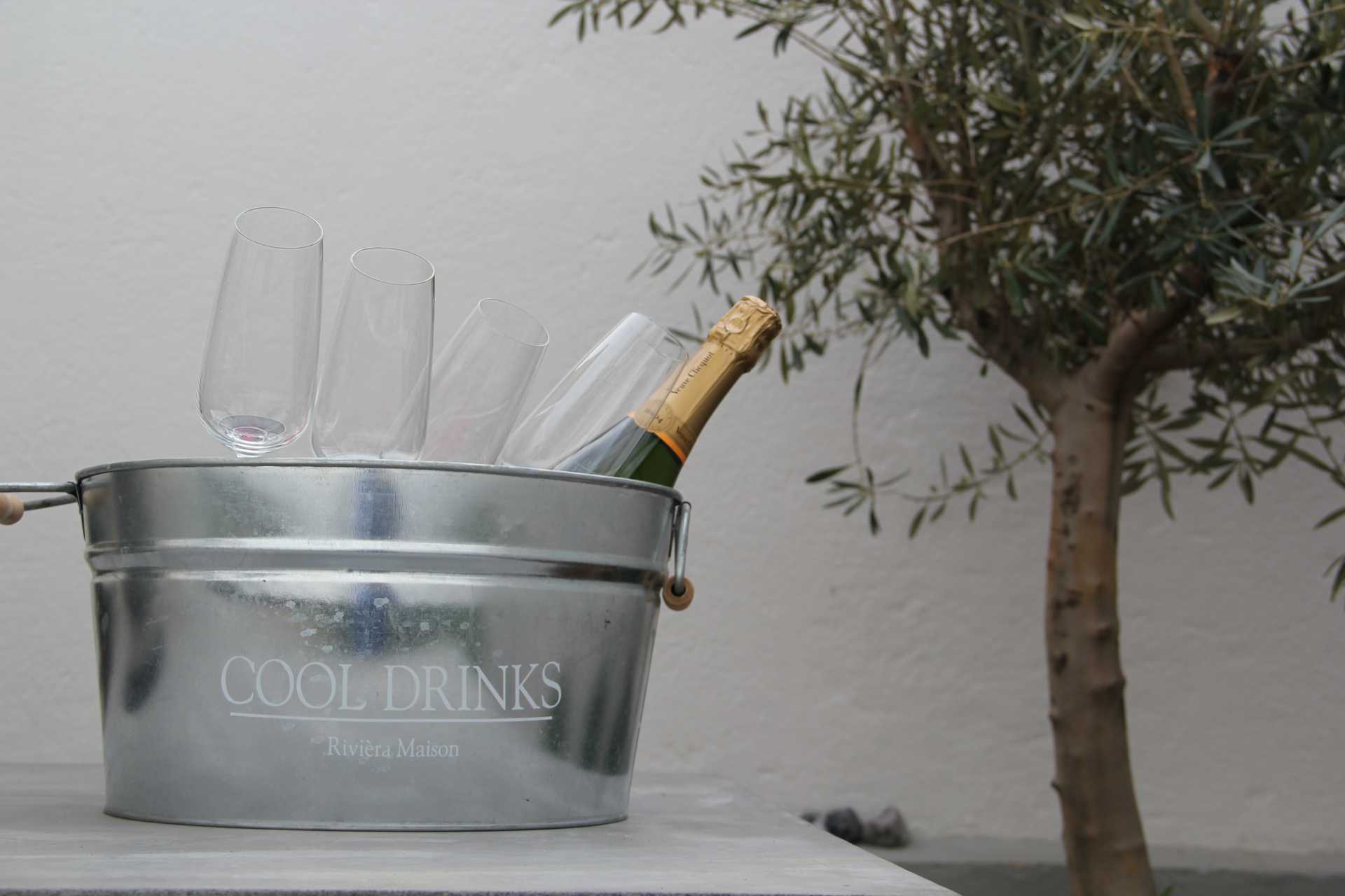 Champagner im Cool-Drinks-Kübel neben Olivenbaum im Garten